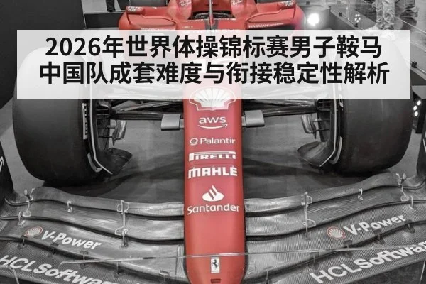 2026年世界体操锦标赛男子鞍马 中国队成套难度与衔接稳定性解析 - jiuyouhui
